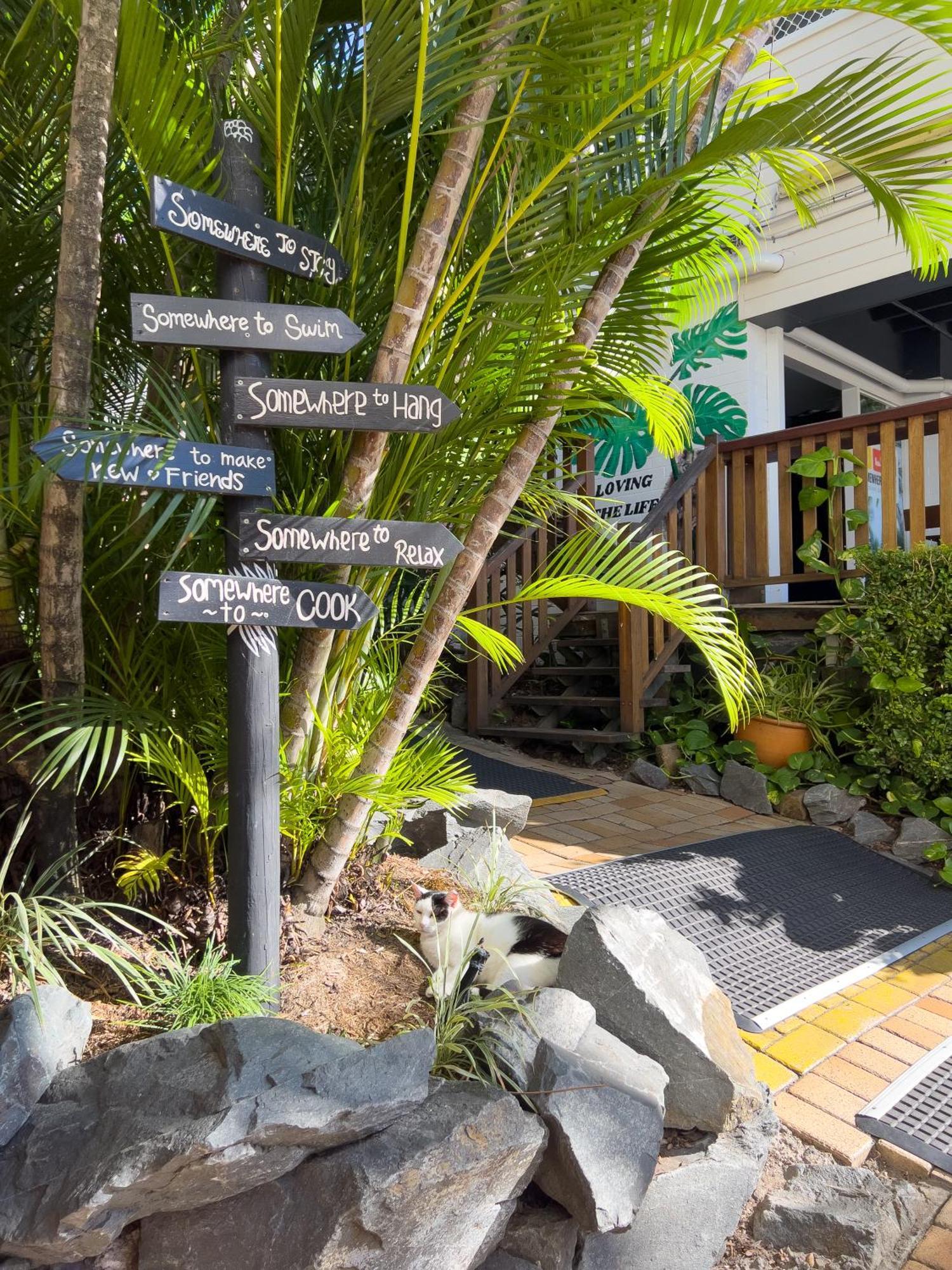 Somewhere To Stay Backpackers Бризбейн Екстериор снимка